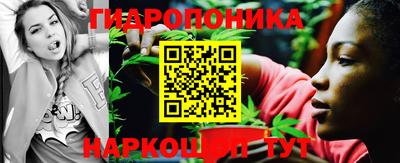 стафф Пенза
