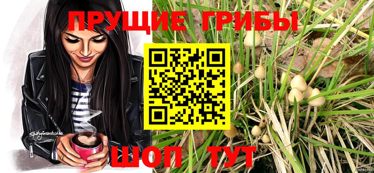 Галлюциногенные грибы Psilocybe  Псилоцибиновые грибы GOLDEN TEACHER  Лобня  Вход с VPN 